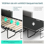 LINSY HOME Ausziehbares Schlafsofa – 2 Sitzer Sofa mit Schlaffunktion, Umwandelbares Sofabett, Schlafcouch mit Memory-Schaum für Wohnzimmer, Wohnungen und Kleine Räume